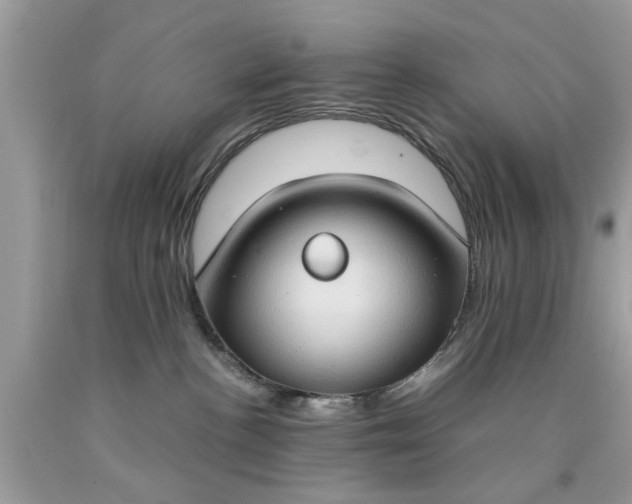 X0000090470188200707272306