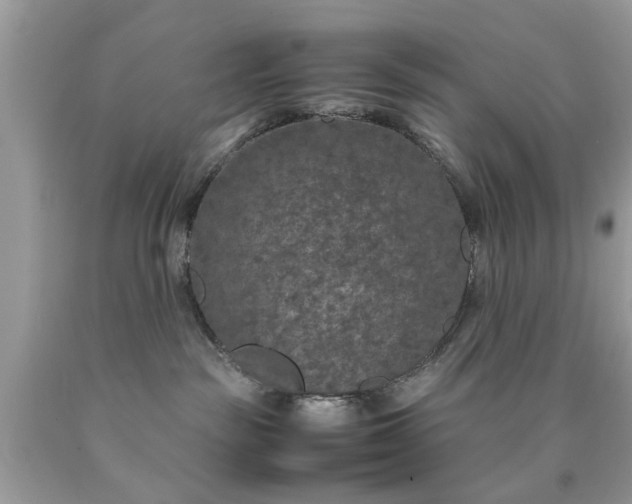 X0000090470189200707272306