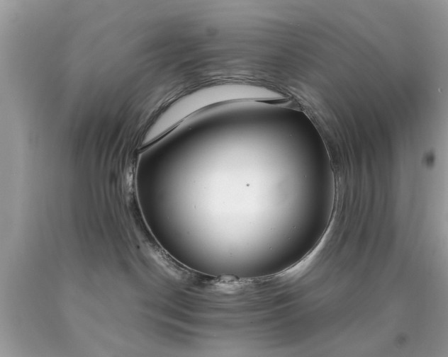 X0000090470190200707272306