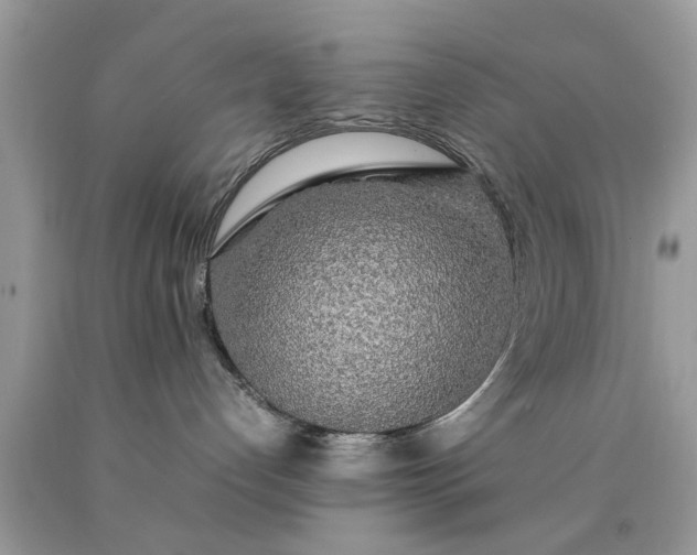 X0000090470192200707272306