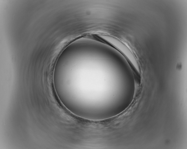 X0000090470193200707272305