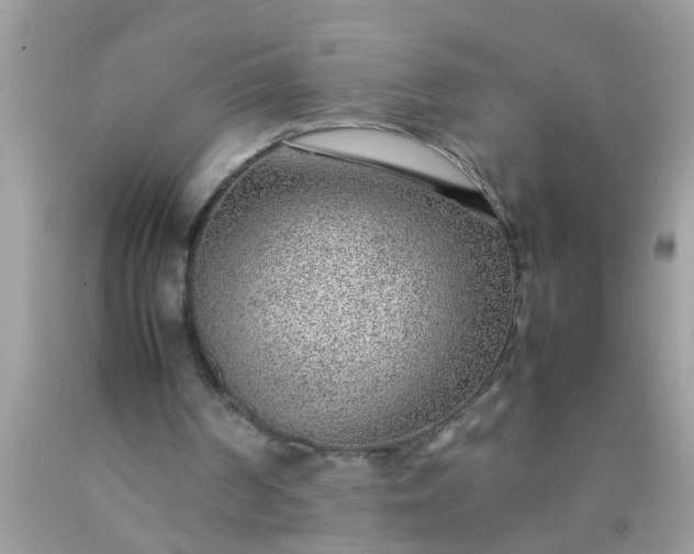 X0000090470194200707272305