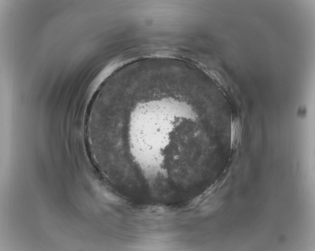 X0000090470195200707272305