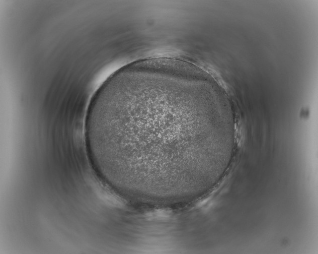 X0000090470196200707272305