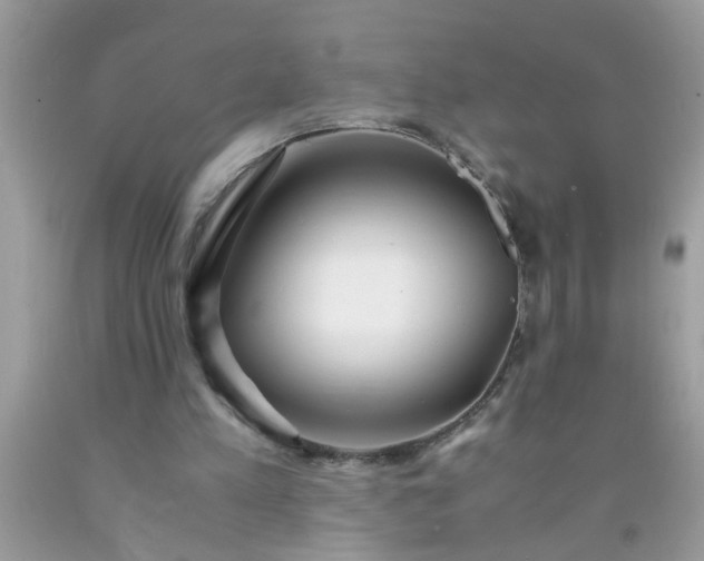 X0000090470197200707272305