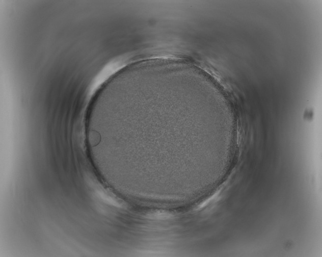 X0000090470198200707272305