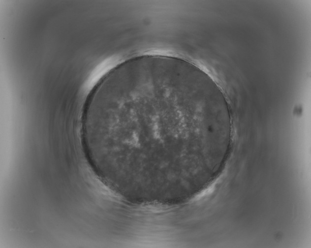 X0000090470199200707272305