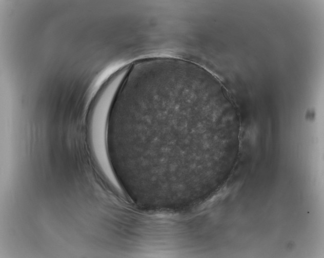 X0000090470200200707272305