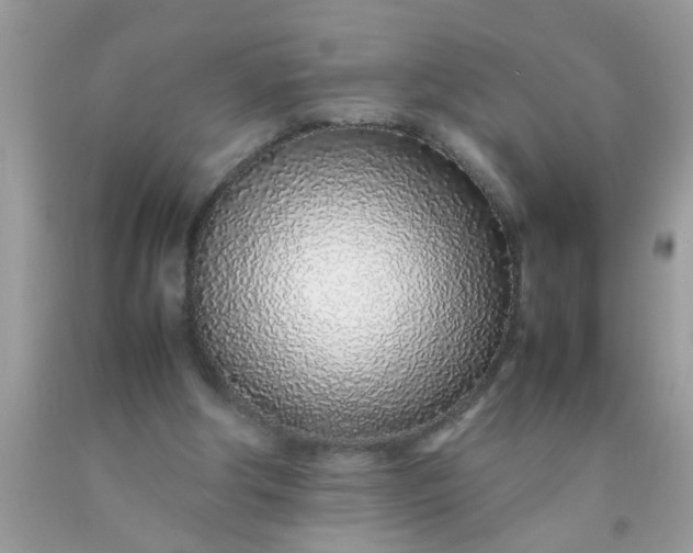 X0000090470202200707272305