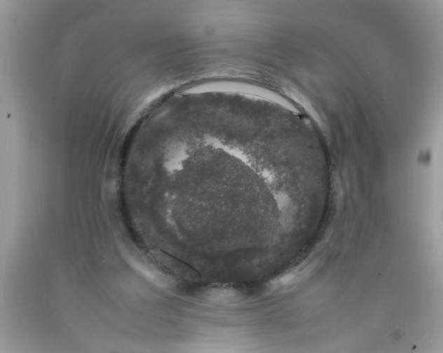 X0000090470203200707272305