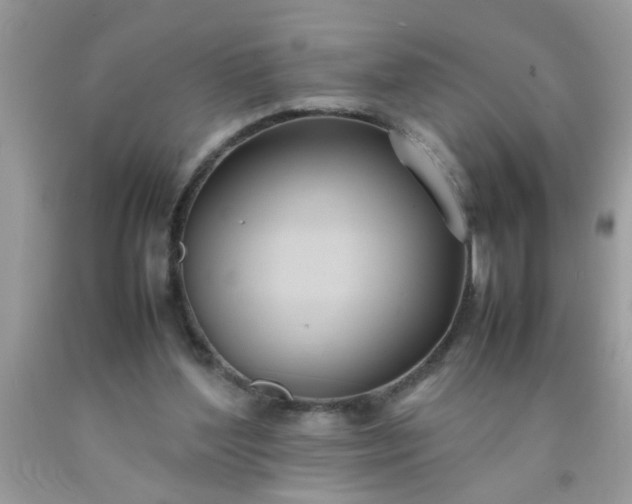 X0000090470204200707272305