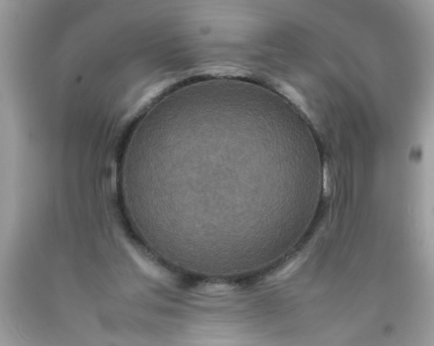 X0000090470205200707272305