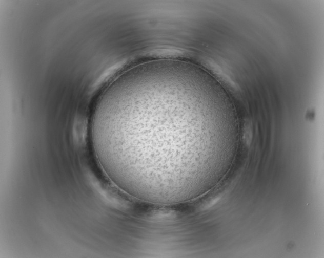 X0000090470206200707272305