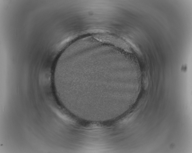 X0000090470207200707272305