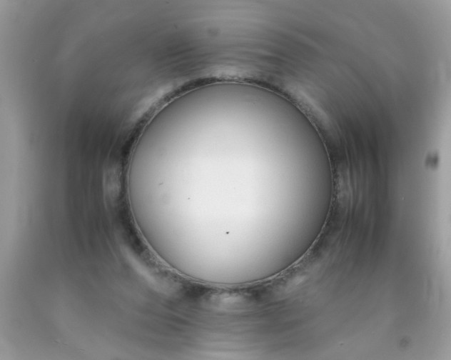 X0000090470208200707272305