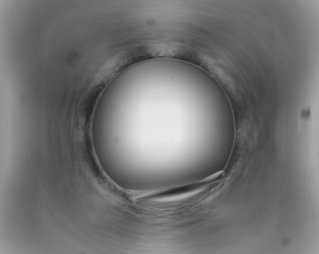 X0000090470209200707272305