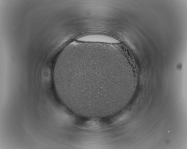 X0000090470211200707272305