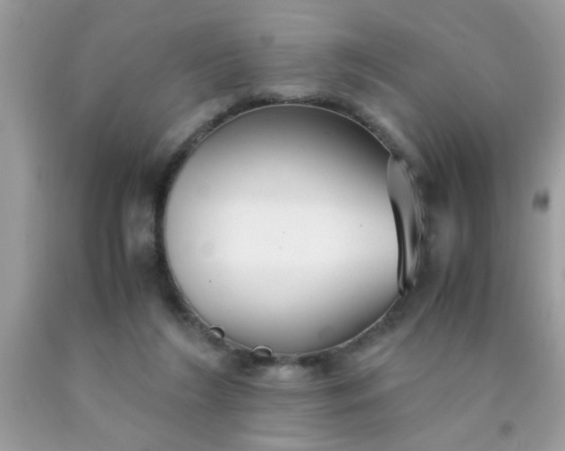 X0000090470212200707272305