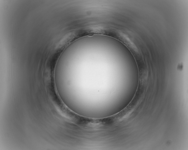 X0000090470213200707272305