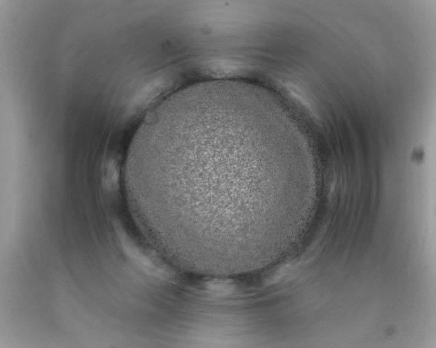 X0000090470214200707272305