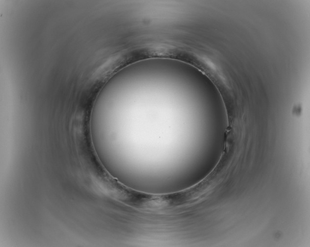 X0000090470217200707272305