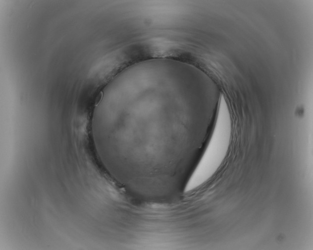 X0000090470219200707272305