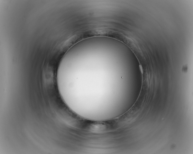 X0000090470220200707272305