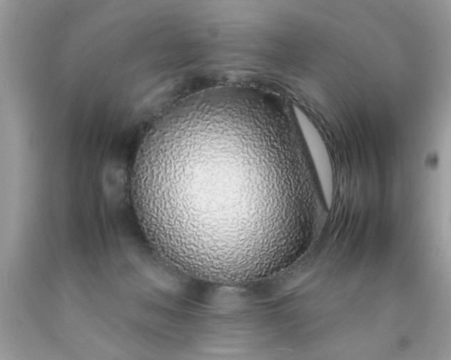 X0000090470222200707272305