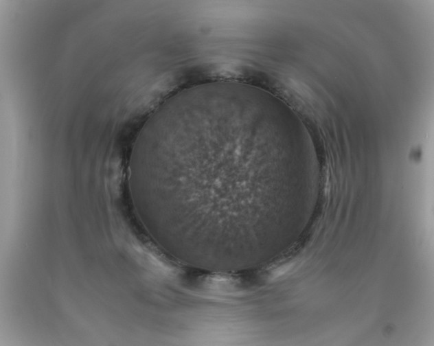 X0000090470223200707272305