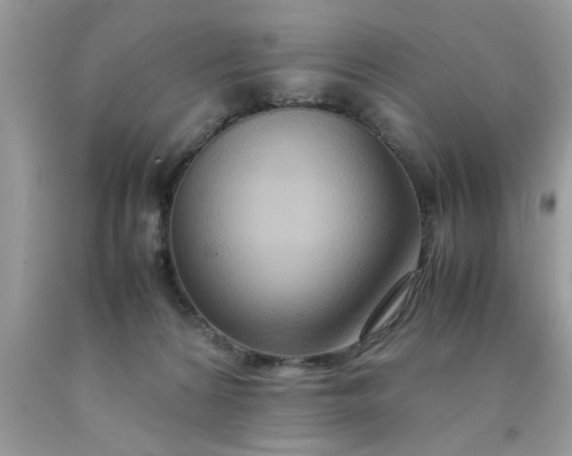 X0000090470224200707272305