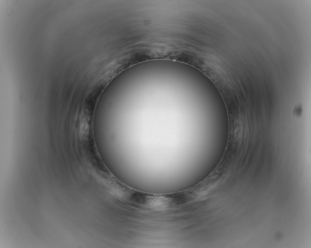 X0000090470226200707272305