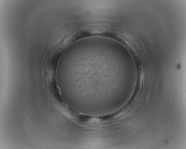 X0000090470227200707272305