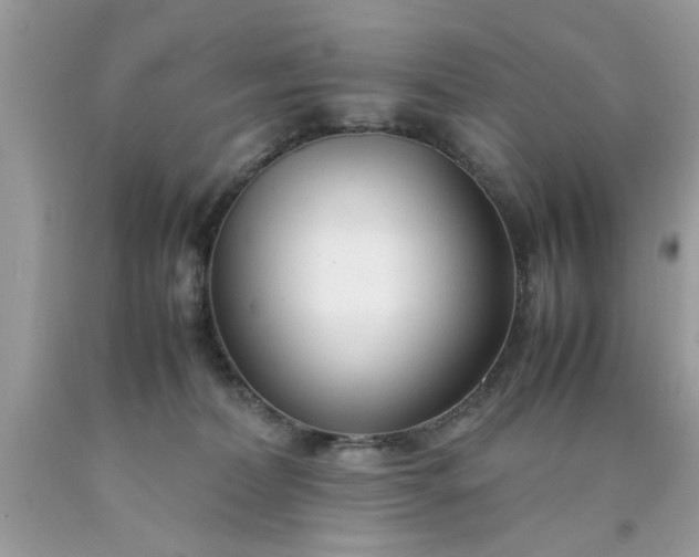 X0000090470228200707272305