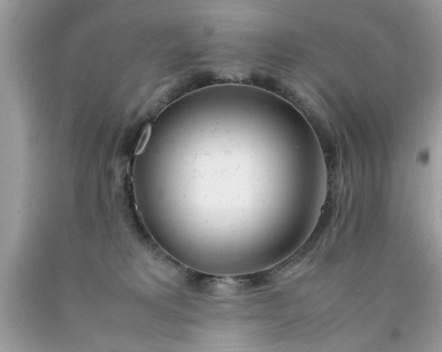 X0000090470229200707272305