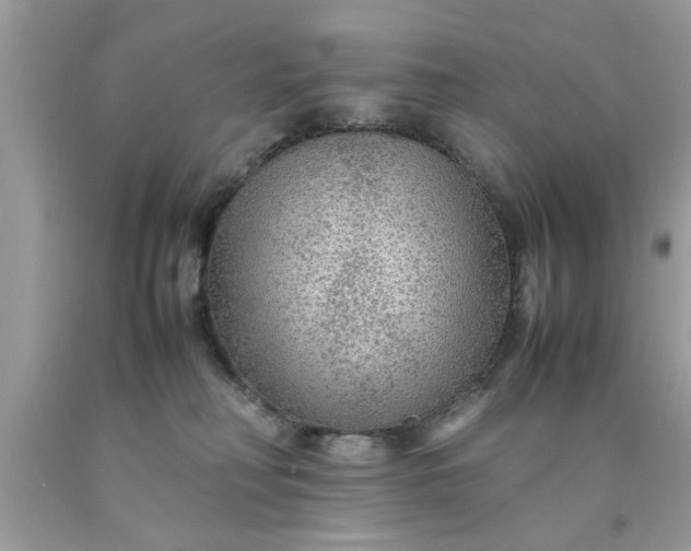 X0000090470230200707272305