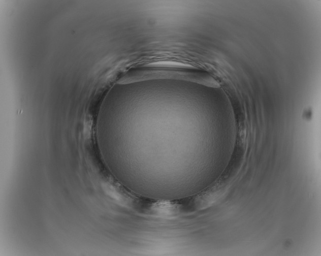 X0000090470231200707272305