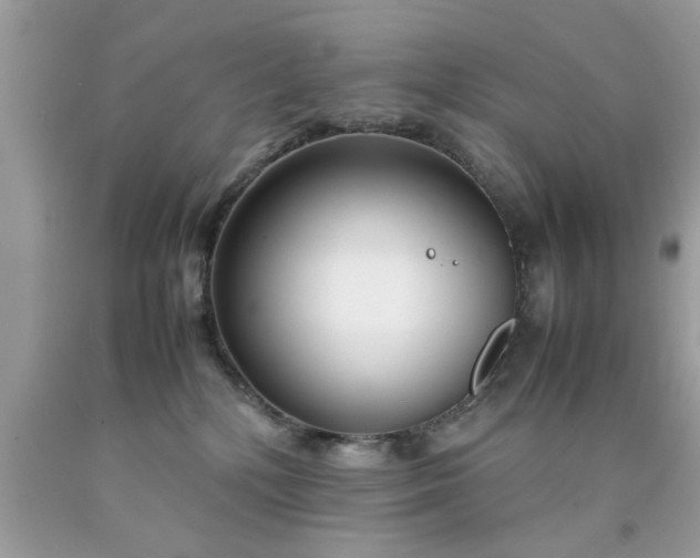 X0000090470232200707272305