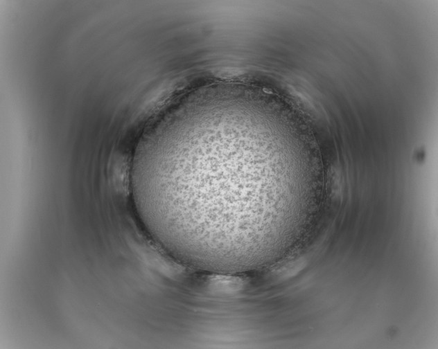 X0000090470234200707272305