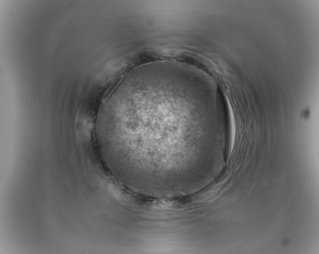 X0000090470235200707272305