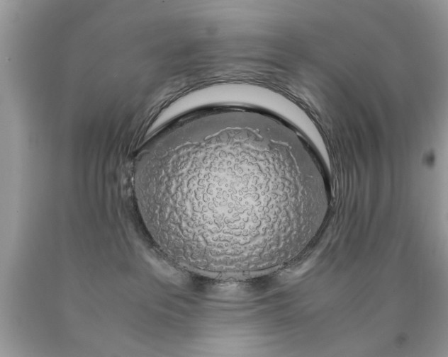 X0000090470237200707272305