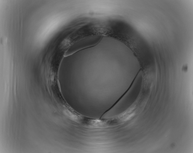 X0000090470239200707272305