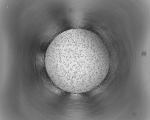 X0000090470240200707272305