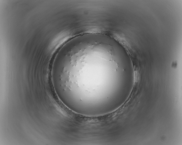 X0000090470243200707272304