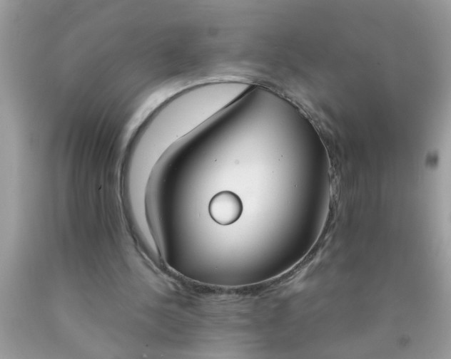 X0000090470244200707272304