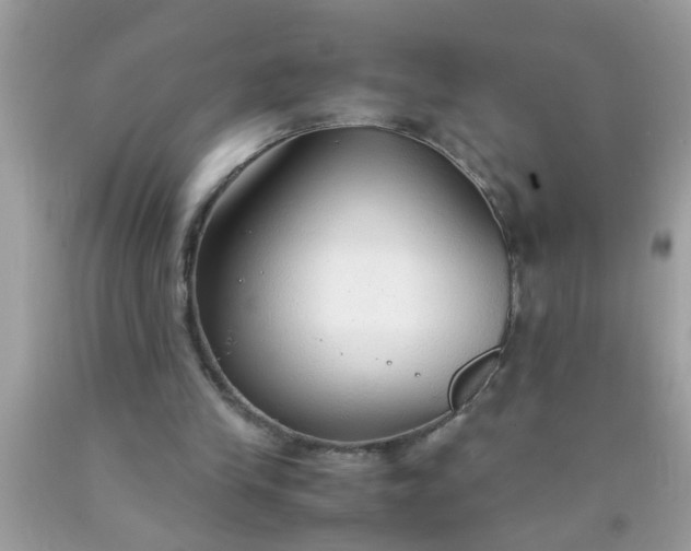 X0000090470245200707272304