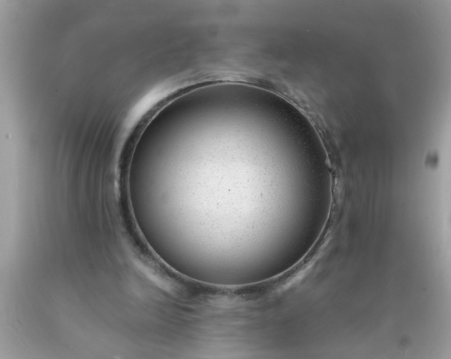 X0000090470246200707272304