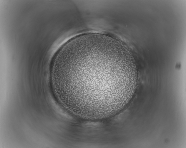 X0000090470247200707272304