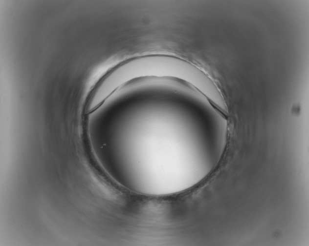 X0000090470248200707272304