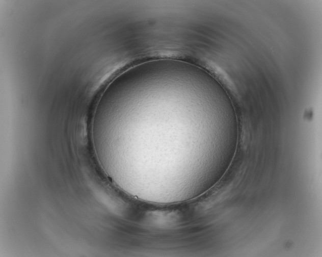 X0000090470251200707272304