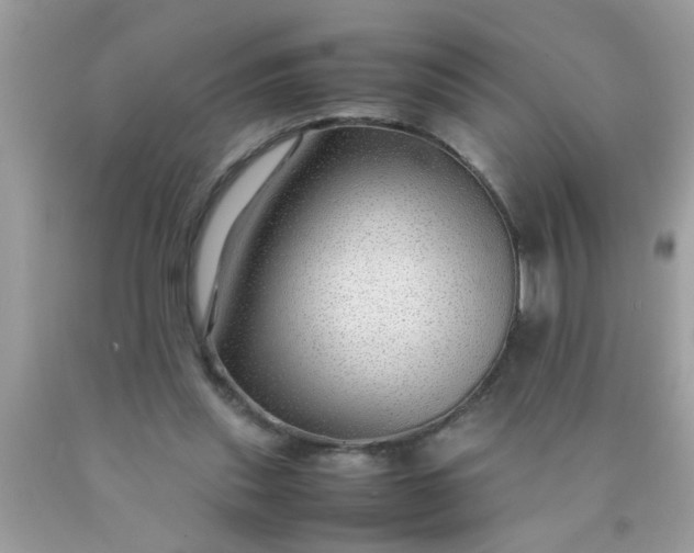 X0000090470253200707272304